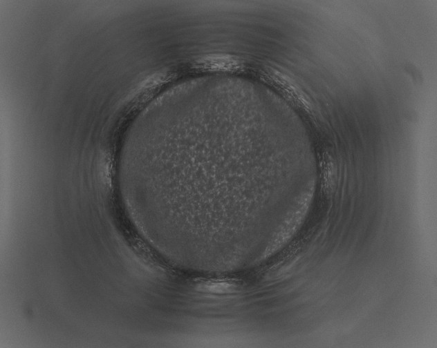 X0000116600643200912241715