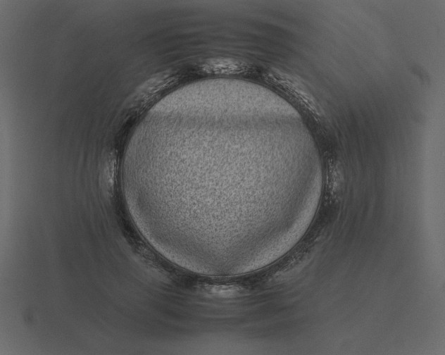 X0000116600645200912241715
