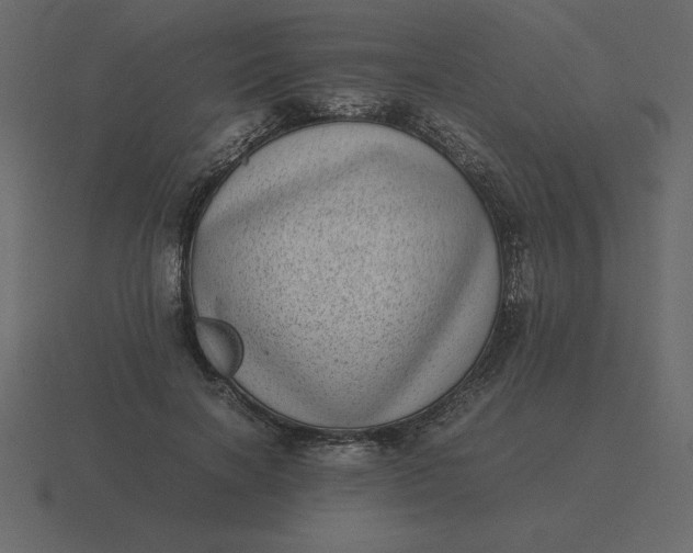 X0000116600646200912241715
