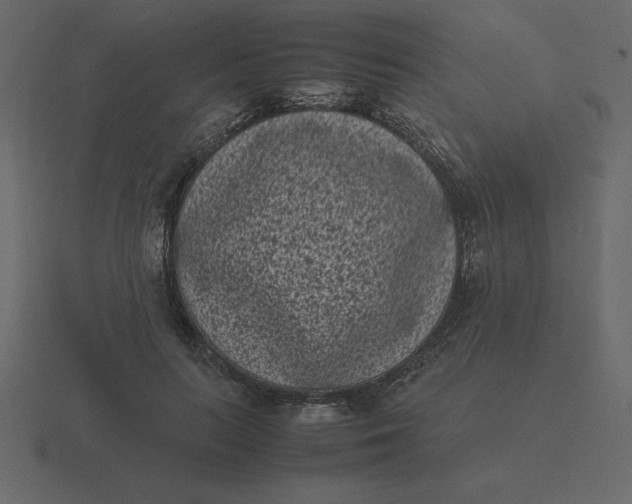 X0000116600647200912241715