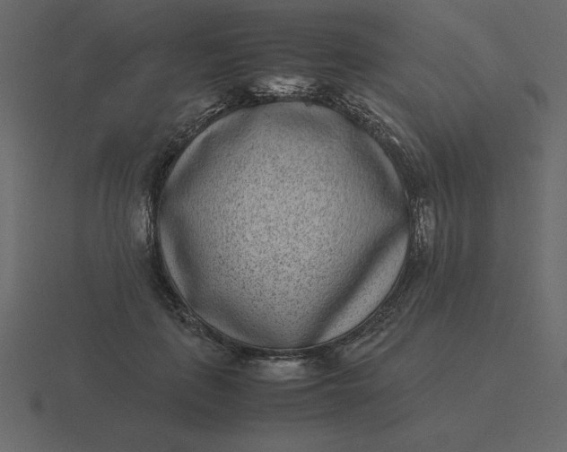 X0000116600651200912241715
