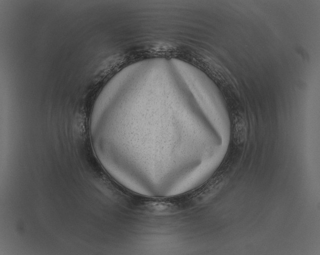 X0000116600654200912241715