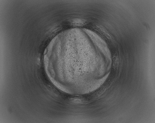 X0000116600655200912241715