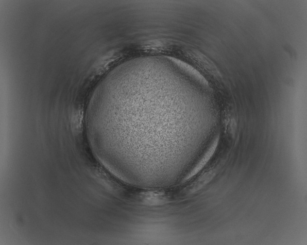 X0000116600660200912241715