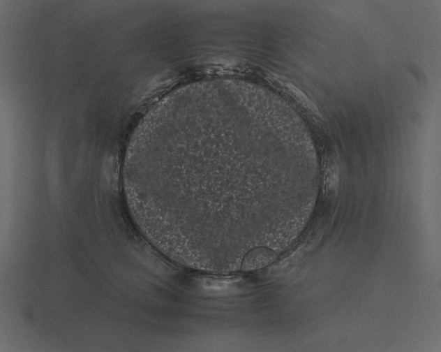 X0000116600661200912241715