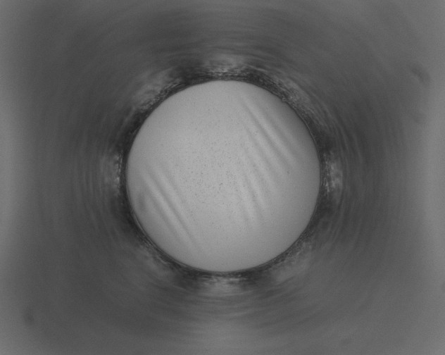 X0000116600664200912241715