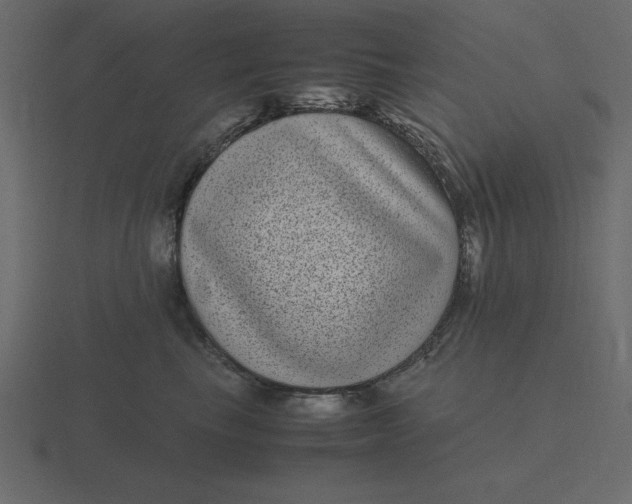 X0000116600665200912241715