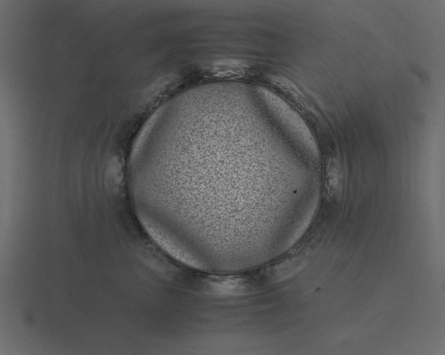 X0000116600667200912241715