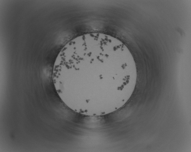 X0000116600672200912241715