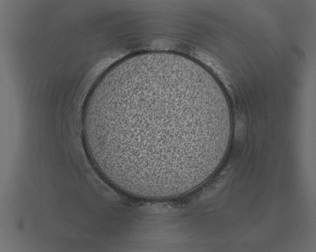 X0000116600673200912241714