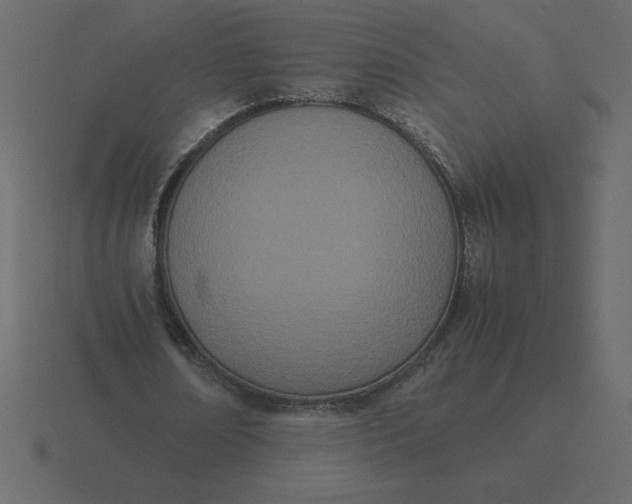 X0000116600674200912241714