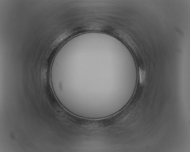 X0000116600675200912241714