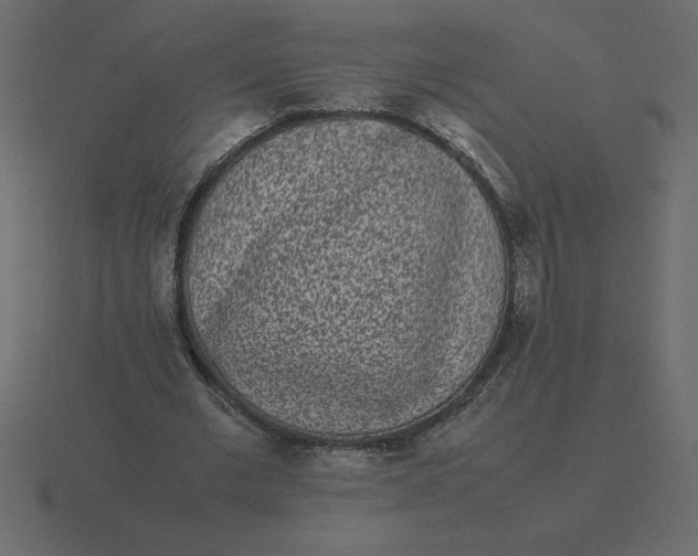 X0000116600677200912241714