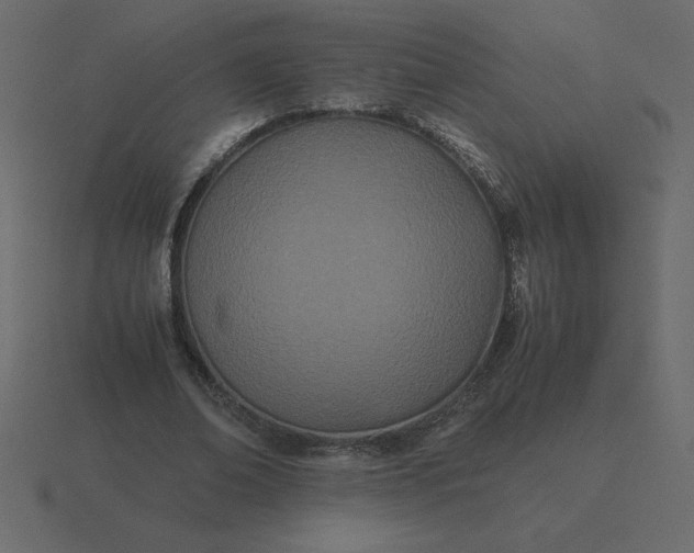 X0000116600678200912241714
