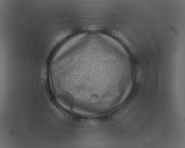X0000116600683200912241714
