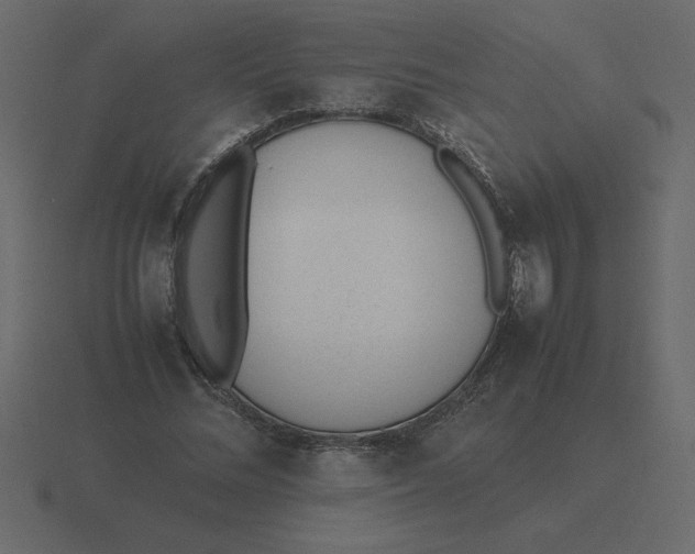 X0000116600684200912241714
