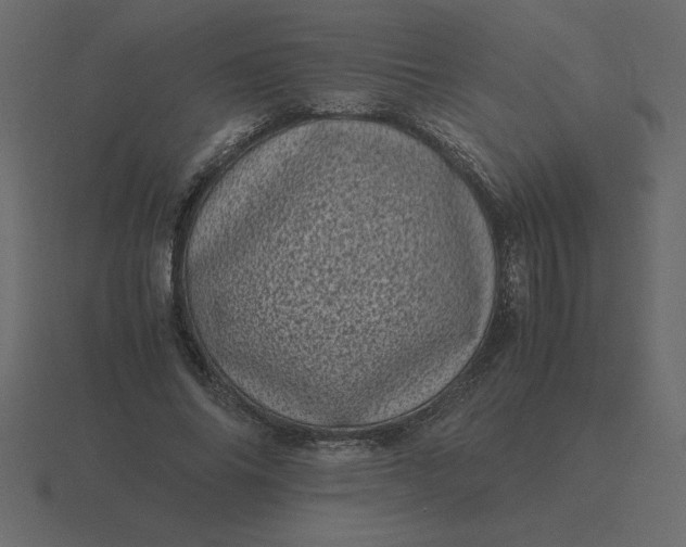 X0000116600686200912241714