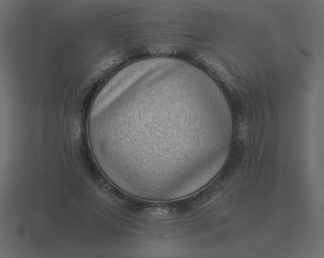 X0000116600687200912241714