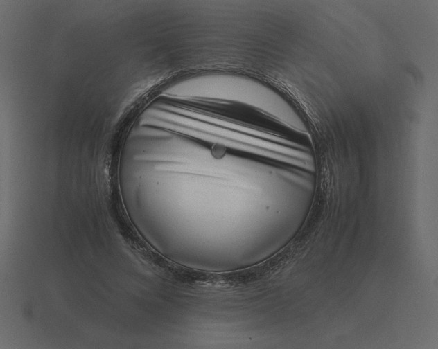 X0000116600688200912241714