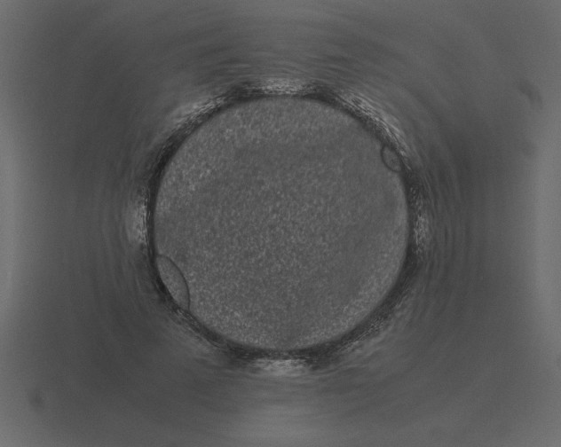 X0000116600689200912241714