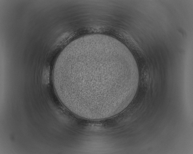 X0000116600694200912241714