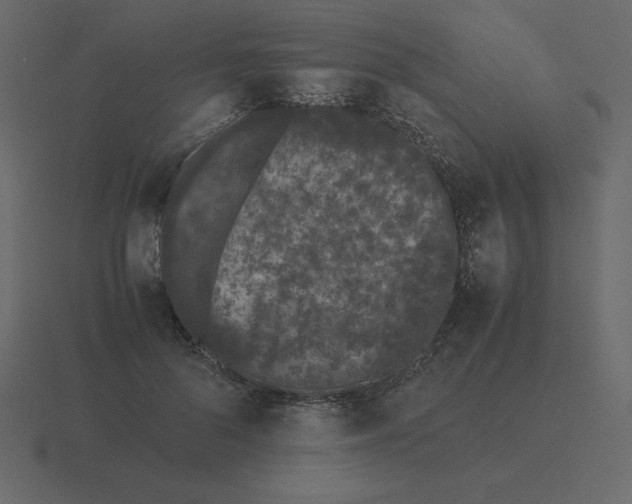 X0000116600696200912241714