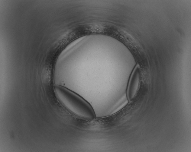 X0000116600697200912241714