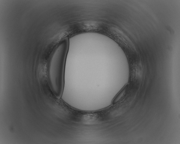 X0000116600700200912241714