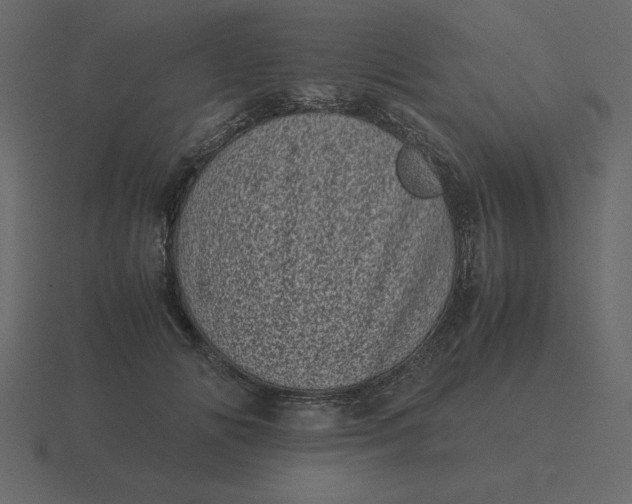 X0000116600702200912241714