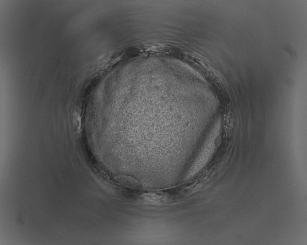 X0000116600703200912241714