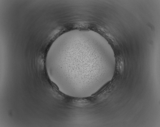 X0000116600716200912241714