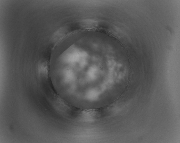 X0000116600720200912241714