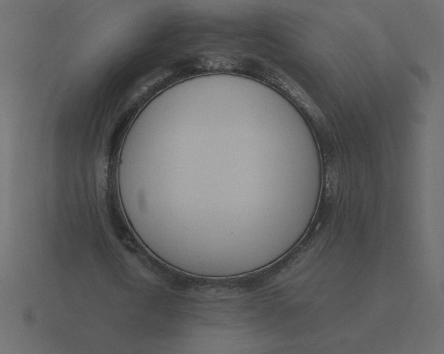 X0000116600722200912241713