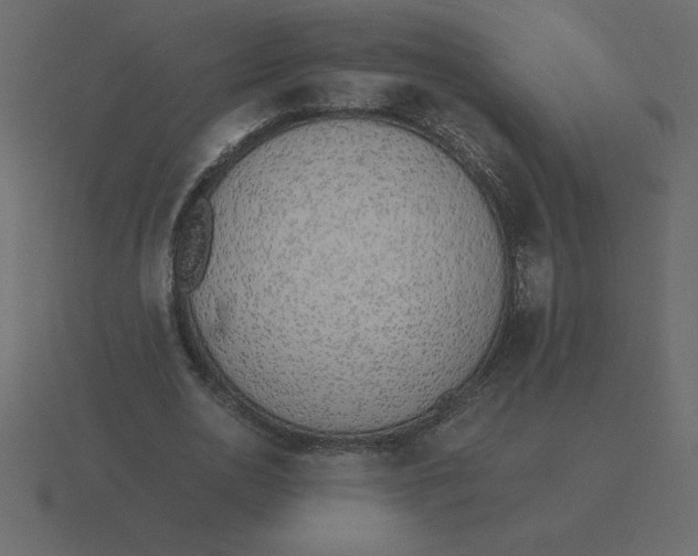 X0000116600726200912241713