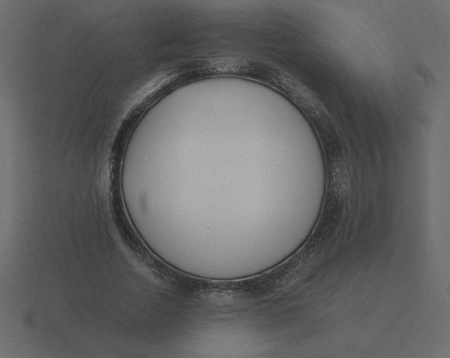 X0000116600730200912241713