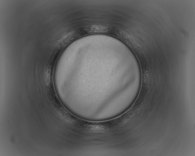 X0000116600741200912241713