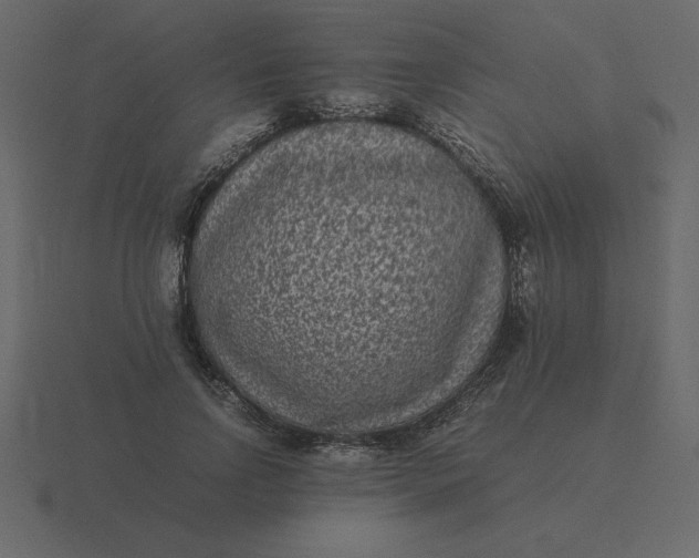 X0000116600742200912241713