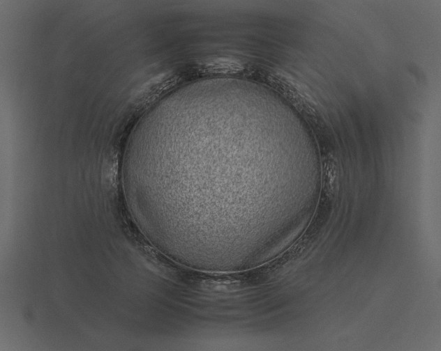 X0000116600745200912241713