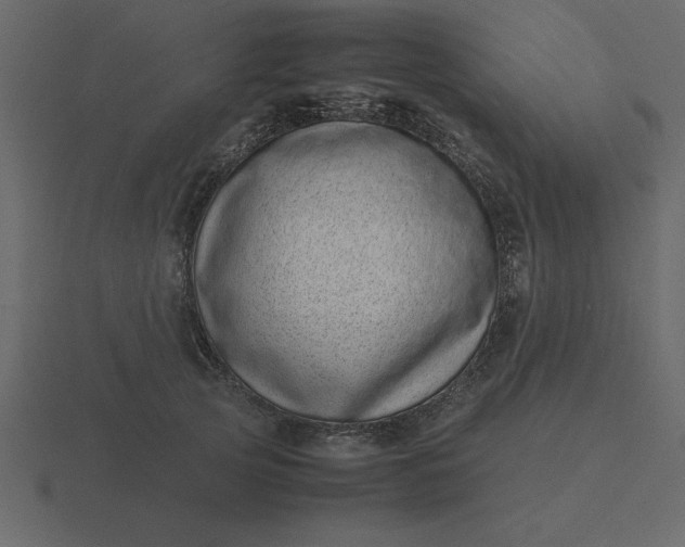 X0000116600753200912241713