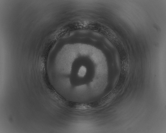X0000116600754200912241714