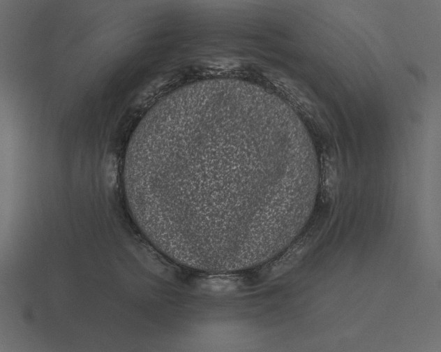 X0000116600758200912241714