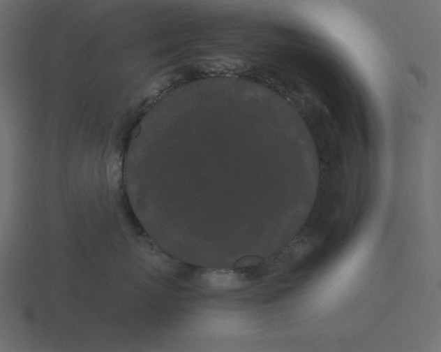 X0000116600767200912241714
