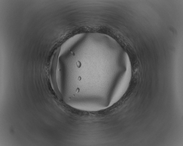 X0000116600772200912241713