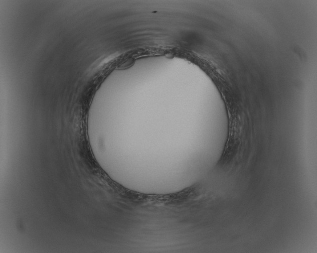 X0000116600773200912241713
