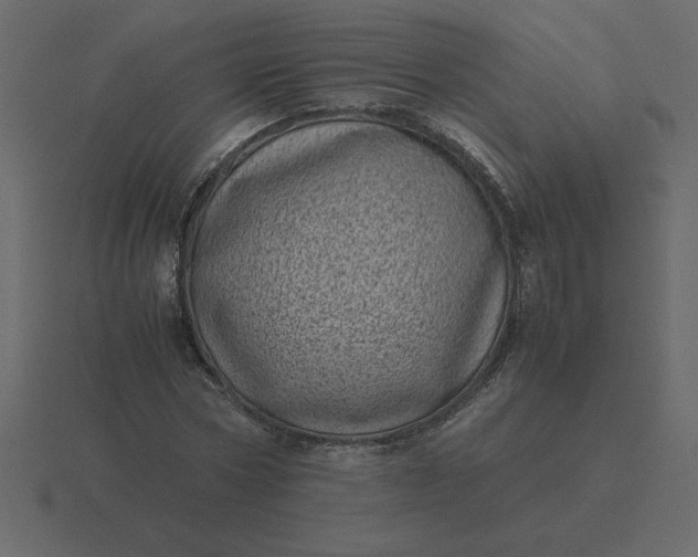 X0000116600778200912241713