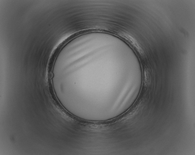 X0000116600780200912241713