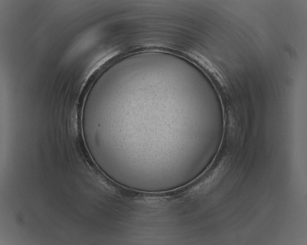 X0000116600782200912241713