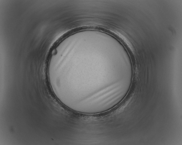 X0000116600783200912241713