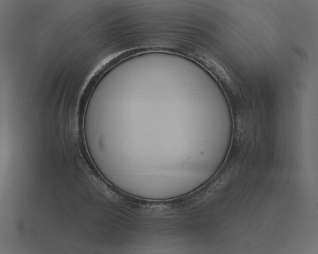 X0000116600784200912241713