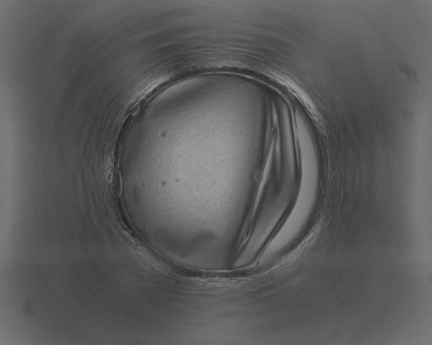 X0000116600785200912241713